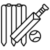 Cricket game icon