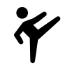 Taekwondo game icon